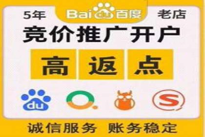某公司通过百度竞价实现业务快速增长的案例